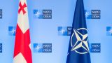 В НАТО выразили обеспокоенность грузинским законом об иноагентах