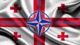 Сотрудничество с НАТО приносит Грузии стабильность — Квирикашвили