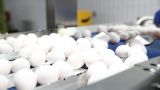 Российские производители яиц и мяса птицы намерены повысить цены