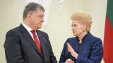 As the last ally: Lithuania takes Ukraine under its patronage