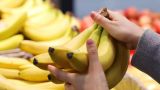 Посол России: Беспорядки в Эквадоре не повлияют на поставки бананов