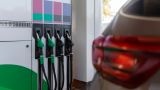 Антимонопольная служба России возбудила 25 дел по фактам роста цен на топливо