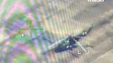 Полный «блэкаут»: гуровский Black Hawk накрыли на аэродроме Прилуки