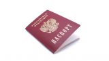 МВД России предлагает наделить МИД и ФСБ полномочиями по изъятию паспортов