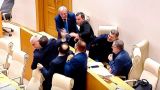 Депутаты грузинского парламента подрались из-за авиасообщения с Россией