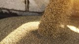 G20 призвала возобновить зерновую сделку с соблюдением интересов России