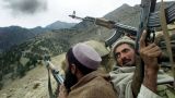 Уйгурские исламисты заявили о наличии своих лагерей в Афганистане