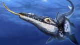 В Мексике обнаружен гигантский морской хищник — современник динозавров