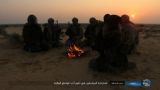 Египетская армия ведет точечную операцию против ДАИШ на Синае