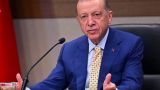 Эрдоган формирует новый баланс взаимоотношений — эксперт о зерновой сделке