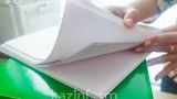 В Казахстане чиновникам запретили покупать офисную бумагу российского производства