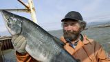 Росрыболовство рассказывает о том, что в России выловили очень много рыбы