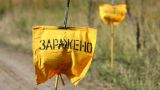Непригодна для жизни: последствия применения снарядов с обеднённым ураном на Украине
