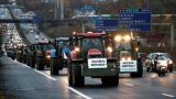 «Макрон, отзовись!»: французские фермеры осадили Париж на тракторах