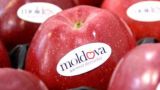 Президент Молдавии просит Москву расширить список экспортеров