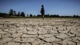 Нидерланды на фоне адской жары ввели режим «фактической нехватки воды»