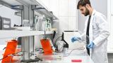 В России создана система ИИ для аннотации геномов животных, микробов и растений