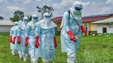 В Африке растет количество заражений лихорадкой Эбола