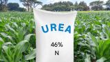 В США из-за войны с Ираном цены на важнейшее удобрение выросли на 50% - ООН