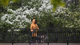 Синоптики предупредили о холодной погоде в Москве 9 мая