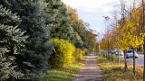 Сентябрь на северо-западе России будет теплее обычного