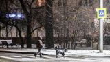 Гидрометцентр: 18 ноября в Москве до +10 градусов, дождь, мокрый снег