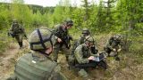 Финляндия, Швеция и Великобритания проведут военные учения