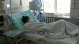 Метанол — яд: в Казани скончалась студентка, выпившая «незамерзайку»