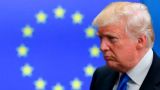 СМИ: ЕС встревожен возможностью «дружелюбных отношений» Трампа с Путиным