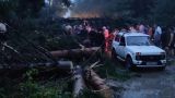 Количество жертв урагана в Марий Эл выросло до семи человек