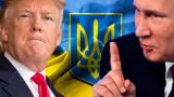 Песков рассказал о позиции Путина и Трампа по украинской проблематике