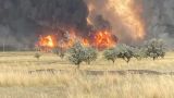 В Костанайской области Казахстана из-за лесных пожаров дети будут учиться удаленно