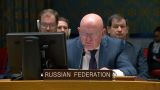 Небензя рассказал в ООН о «прикрытии террористов» в Сирии Вашингтоном