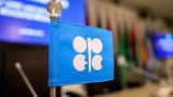ОПЕК обвинил IEA в обмане: призывы к отказу от нефти приведут к тяжелым последствиям
