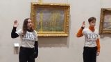 Экоактивисты атаковали шедевр Клода Моне в музее Лиона