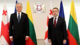 «Дежурные заявления»: что кроется за визитом президента Литвы в Грузию?