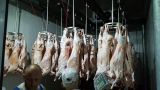 Киргизия возобновила поставки мяса в Иран