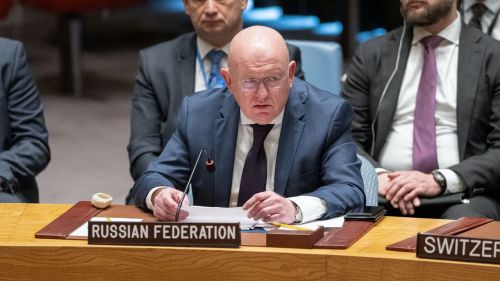 Небензя заявил, что ему стыдно за западных членов СБ ООН, не упомянувших гибель детей