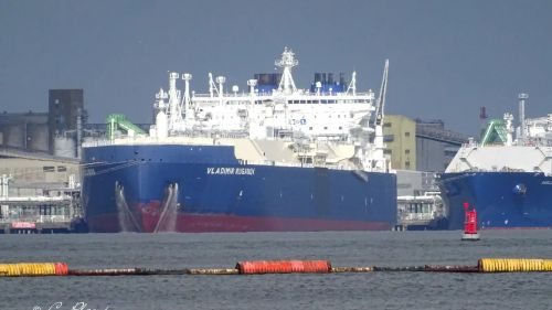 Европа забирает весь ямальский СПГ: поставки «Газпрома» также вышли на максимум