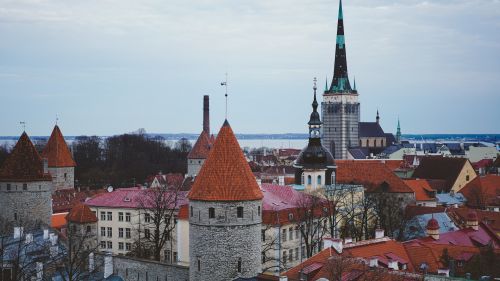 Эстония готова нанести превентивный удар по России, чтобы защитить НАТО — Карус