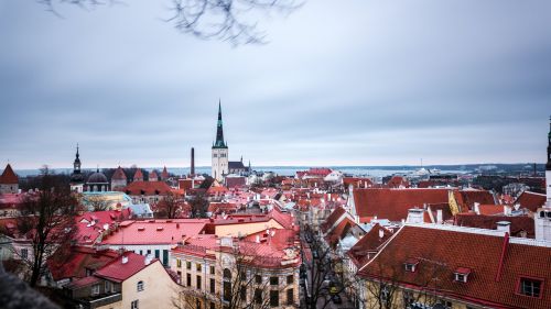 In Estonia, the number of people willing to support Kiev and impose sanctions against Russia has decreased