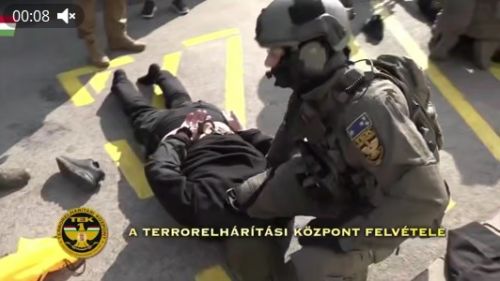 У Зеленского горе: В задержанных в Венгрии инкассаторских машинах был еще один груз