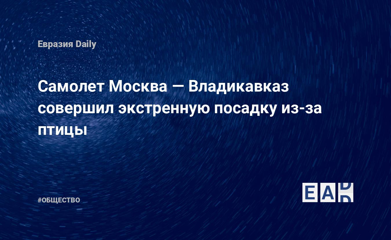 Самолет Москва — Владикавказ совершил экстренную посадку из-за птицы —  EADaily, 31 мая 2019 — Общество. Новости, Новости Кавказа