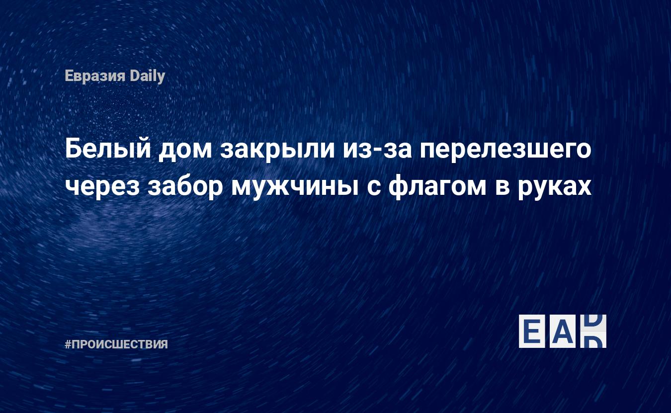 Белый дом закрыли из-за перелезшего через забор мужчины с флагом в руках —  EADaily, 27 ноября 2015 — Происшествия, Новости США