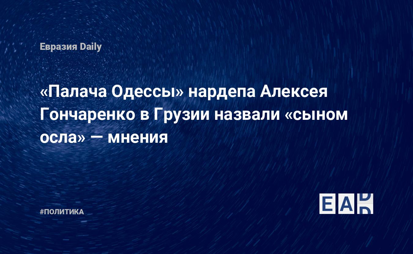 Палача Одессы» нардепа Алексея Гончаренко в Грузии назвали «сыном осла» —  EADaily — Новости. Новости сегодня. Новости дня. Последние новости. Новости  часа.