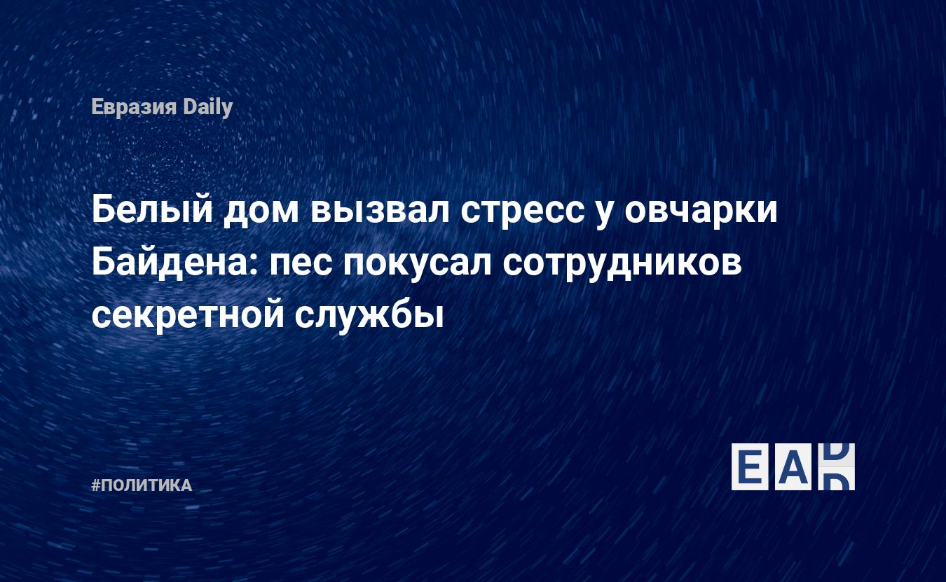 Белый дом вызвал стресс у овчарки Байдена: пес покусал сотрудников  секретной службы — EADaily — Байден. США. Новости. Байден новости. Новости  Байден. Новости США. США новости. Новости США сегодня. Последние новости  США.