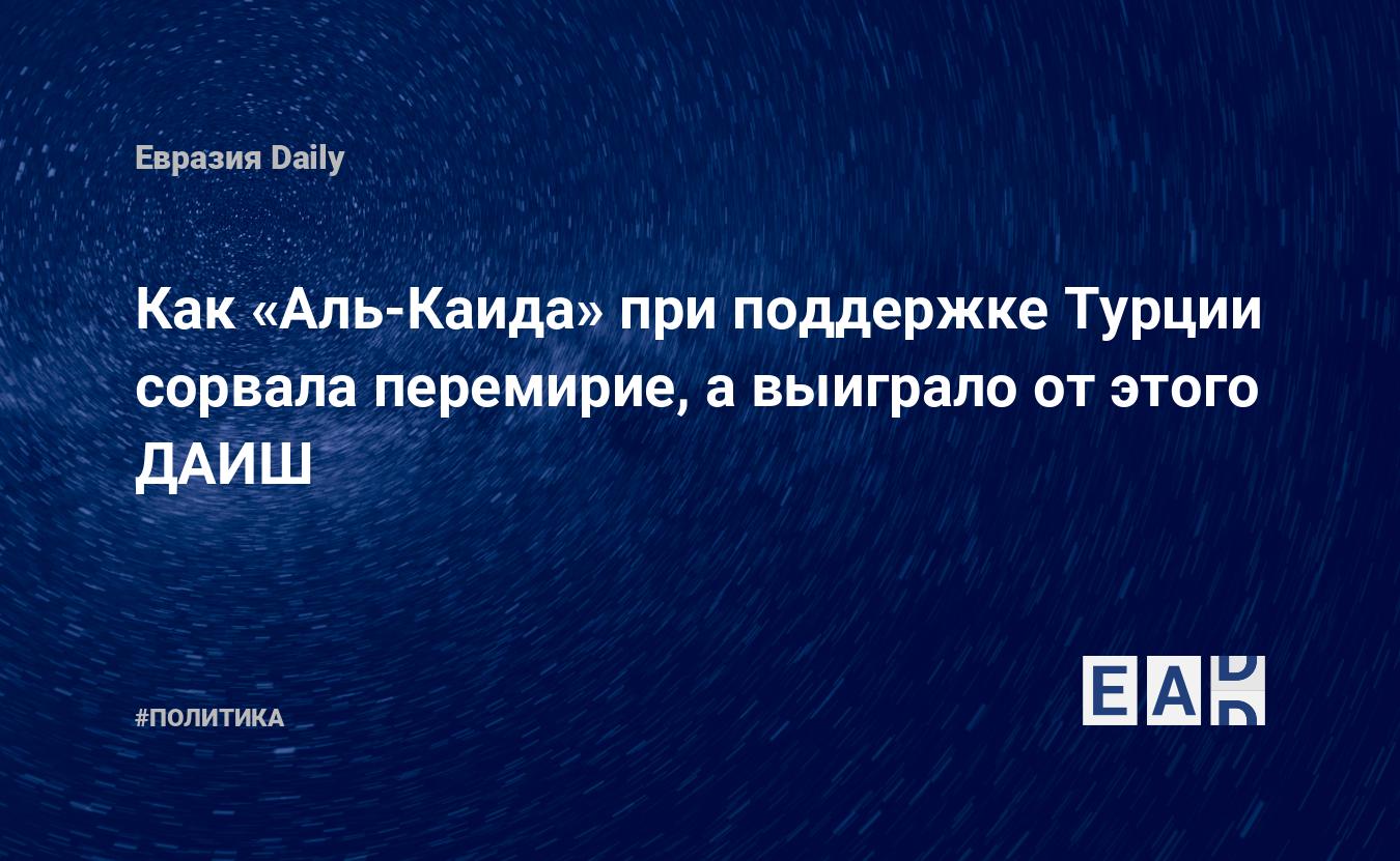 Как «Аль-Каида» при поддержке Турции сорвала перемирие, а выиграло от этого  ДАИШ — EADaily, 30 апреля 2016 — Новости политики, Новости России