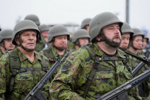 Картинки по запросу армия Эстонии